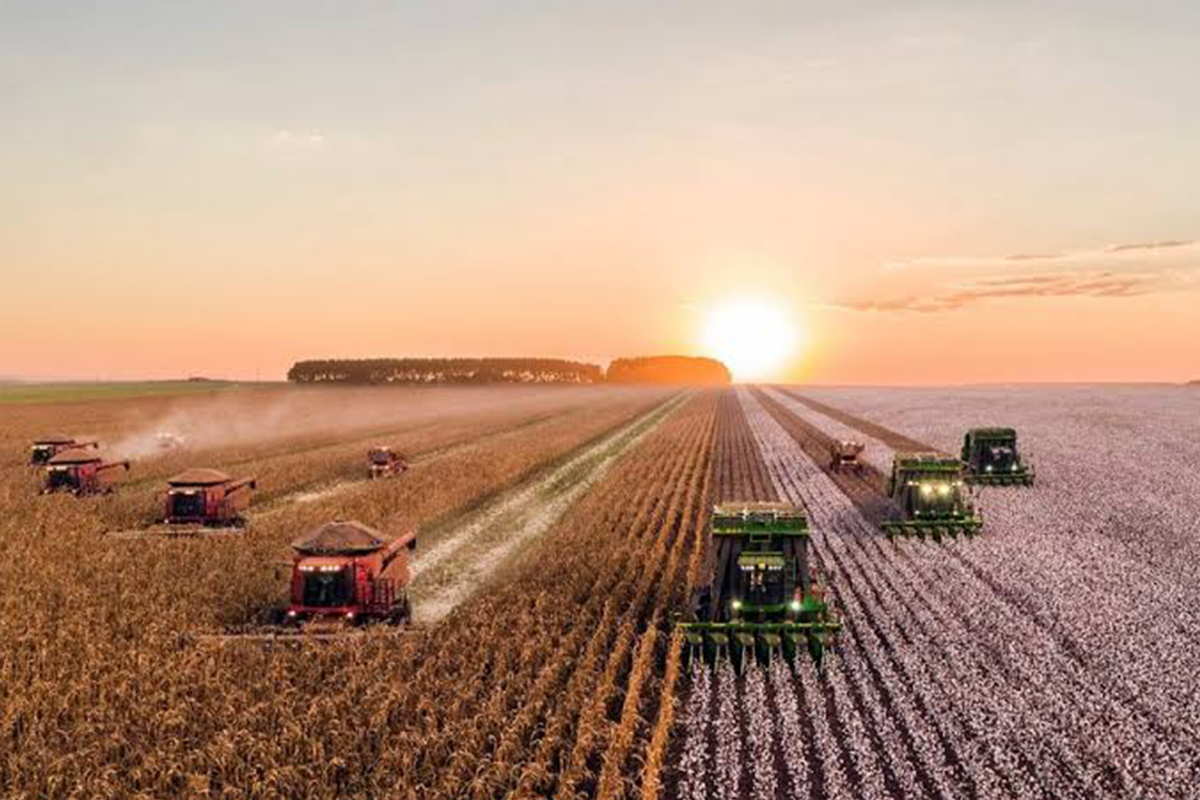Agricultural Commodities